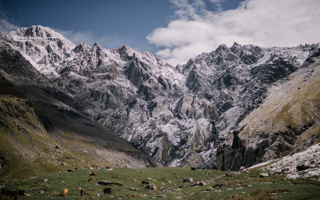 Georgia on my mind : voyage à travers l’état oublié des États-Unis